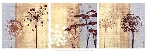 Framed Silhouette in the Breeze Print