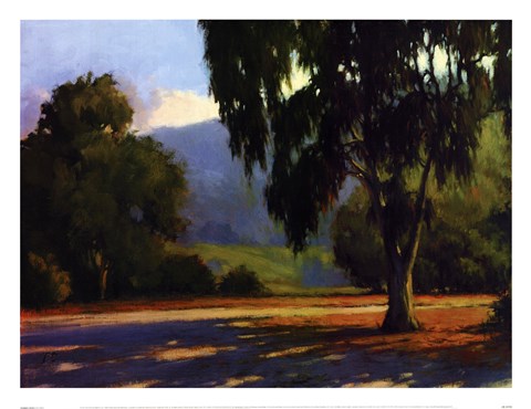 Framed Eucalyptus Sunset Print