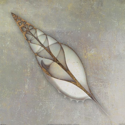 Framed Neptune&#39;s Garden II Print