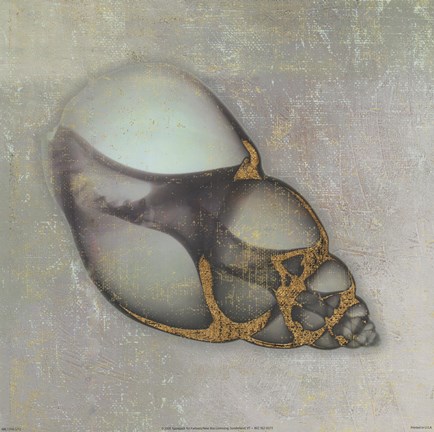 Framed Neptune&#39;s Garden III Print