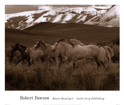 Framed Horses Running I Print