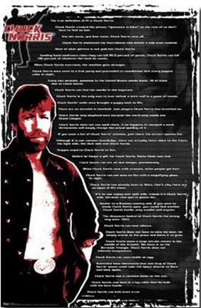 Framed Chuck Norris - Fact List 3 Print