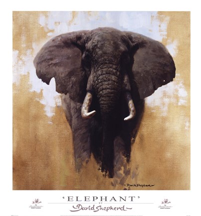 Framed Elephant Print