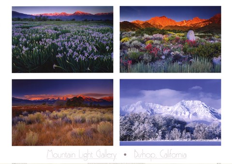 Framed Four Seasons Print