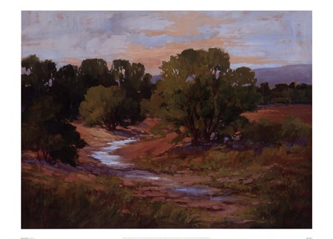 Framed Afternoon Light Print