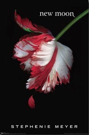 Framed Twilight 2: New Moon (Book Cover) Print