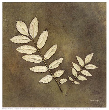 Framed Beech Leaf Print
