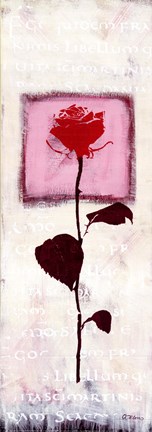 Framed She Is My Favourite Print