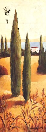 Framed Montecastello I Print