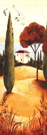 Framed Montecastello II Print