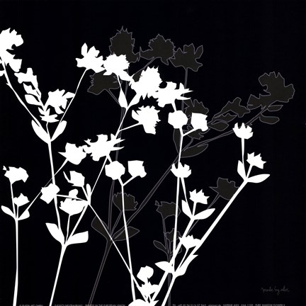 Framed Pure Shadow Flower II Print