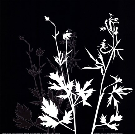 Framed Monochrome Meadow Grass II Print