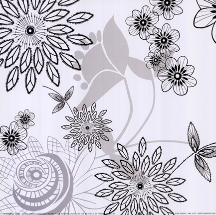 Framed White Shadow  Lace Print