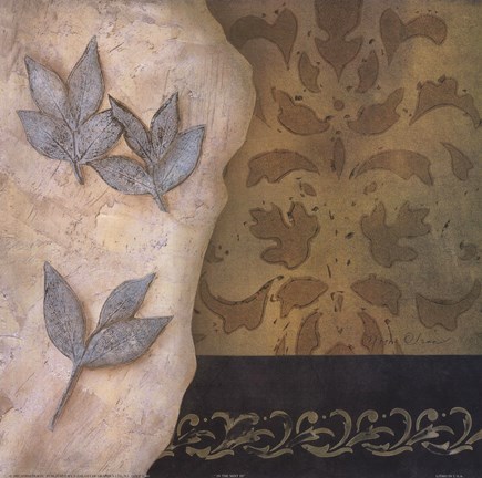 Framed In the Mist III Print