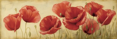 Framed Poppies Grace II Print