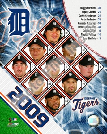 Framed 2009 Detroit Tigers Team Composite Print