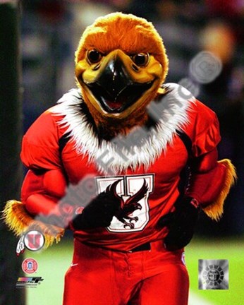 Framed University of Utah Utes mascot 2003 Print