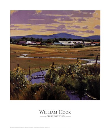 Framed Afternoon Vista Print