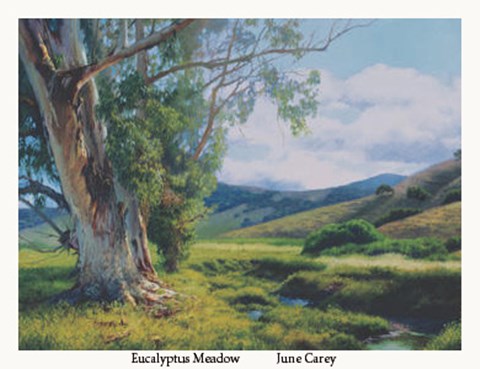 Framed Eucalyptus Meadow Print