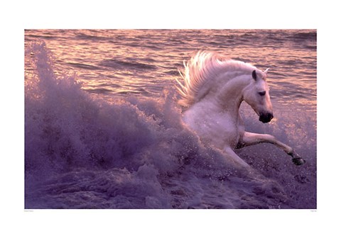 Framed High Tide Print