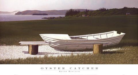 Framed Oyster Catcher Print