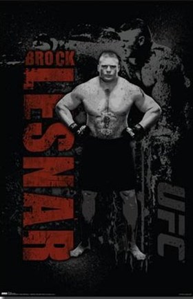Framed UFC - Brock Lesnar Print
