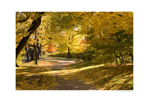 Framed Central Park Path Print