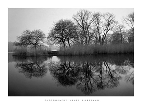 Framed Prospect Park Morning Print
