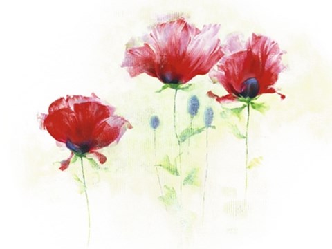 Framed Red Poppies II Print