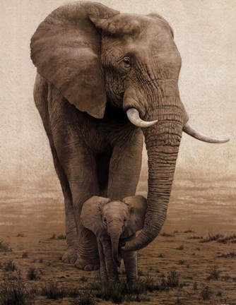 Framed Momma's Boy Print