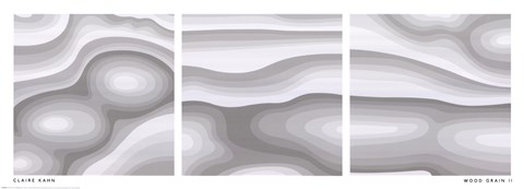 Framed Wood Grain II Print