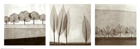 Framed Leaf Landscape Triptych Print