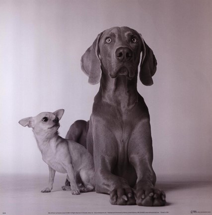 Framed Max &amp; Roxie Print