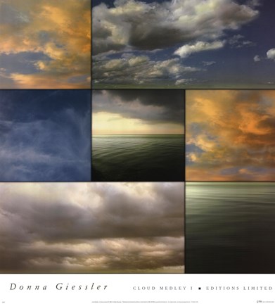 Framed Cloud Medley I Print