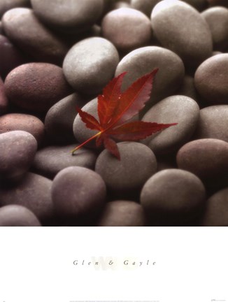 Framed Leaf on Stone Print