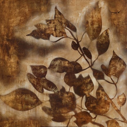 Framed Organic Harmony II Print