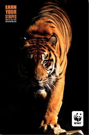 Framed World Wildlife Fund - Tiger Print