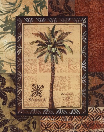 Framed Palmaceae II Print