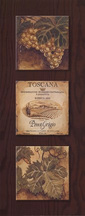 Framed Wine Country Panel I Print