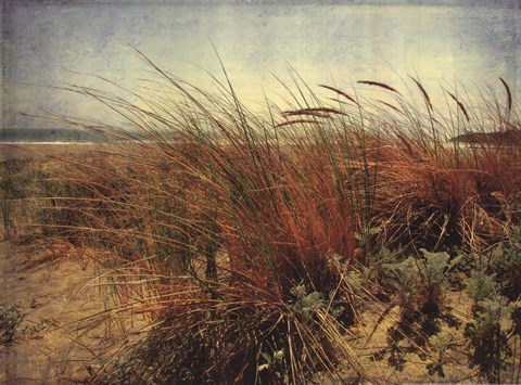 Framed Sand Dunes II Print