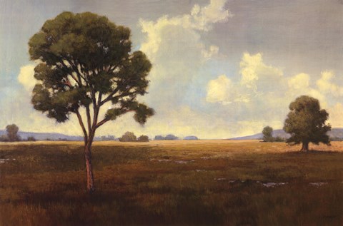 Framed Lost River I Print