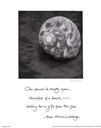 Framed Beach Shell Print