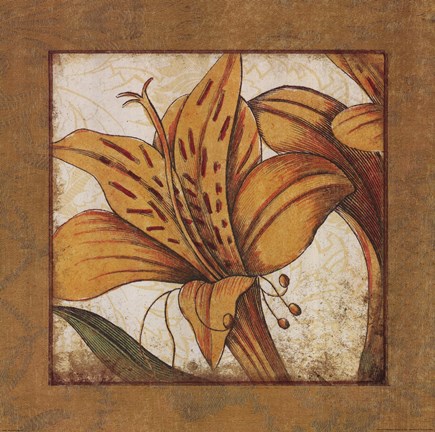 Framed Amaryllis Bloom Print