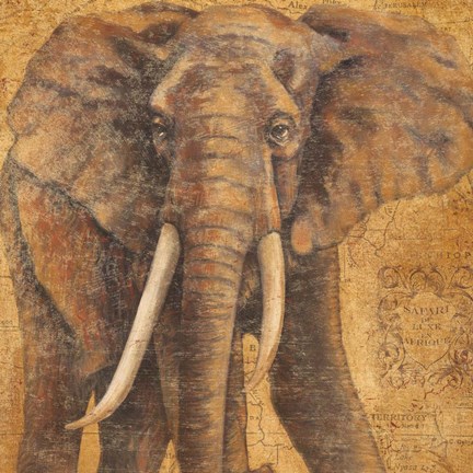 Framed Grand Elephant Print