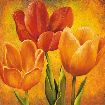 Framed Orange Tulips I Print