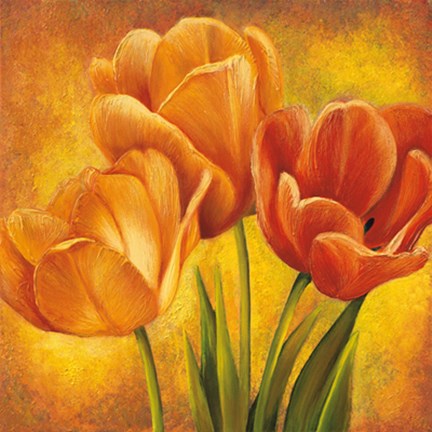 Framed Orange Tulips II Print