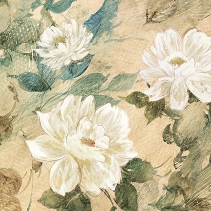 Framed White Flowers II Print