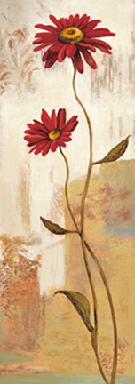 Framed Panneau marguerite Print