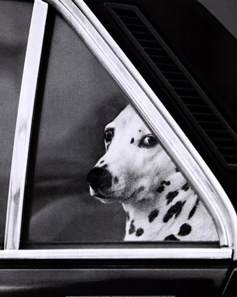 Framed Noblesse Oblige Print