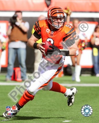 Framed Carson Palmer 2009 Print